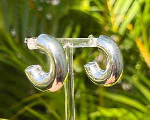 Macarrao Earring